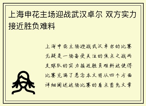 上海申花主场迎战武汉卓尔 双方实力接近胜负难料